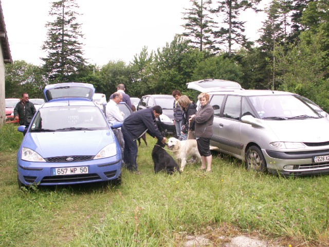 Original image